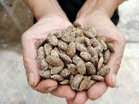 南漳：吊瓜变“金瓜” 村民乐开花