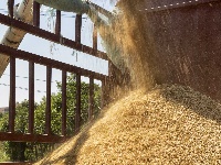 荆州：丰收季，粮满仓