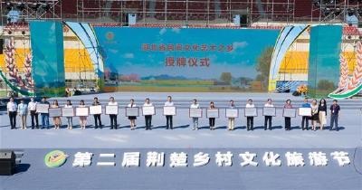 湖北为49个民间文化艺术之乡9个公共文化服务示范区授牌