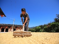 巴东：秋风起 乡野秋收多欢喜
