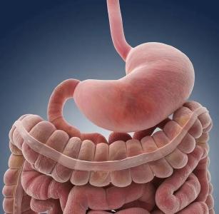 结肠&食道：这是一条有味道的推送~