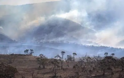 最新研究：澳大利亚野火致二氧化碳激增和海洋生态破坏严重