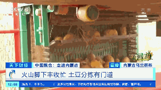 一箱卖80元！这种常见的农作物，身价倍增！撑起超百亿大产业！秘诀是→
