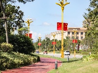 宜都：高挂国旗庆国庆