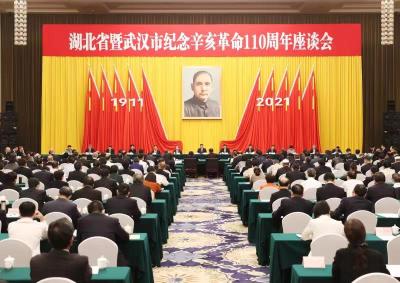  湖北省暨武汉市纪念辛亥革命110周年座谈会在汉举行