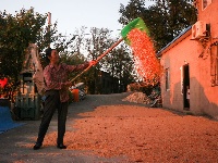 郧阳：秋到农家