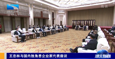 王忠林与国内独角兽企业家代表座谈