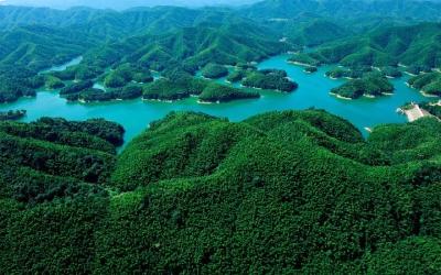 昨晚，湖北这个地方上了央视新闻联播！