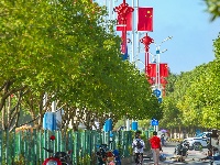 来凤：街头红旗迎风展