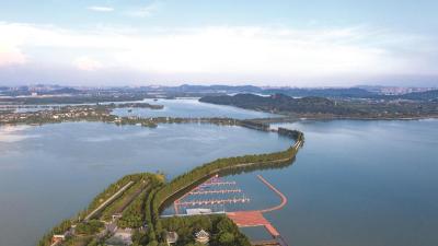喜讯！武汉东湖、梁子湖入选“中国十大休闲湖泊”和“十大美食休闲湖泊”