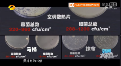 这些不以为意的物品是“细菌聚集地”，我们每天都在用！