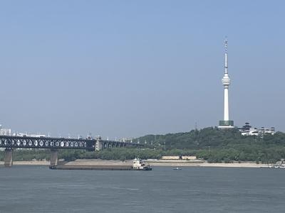 事关江滩公园建设升级，官方回复了！
