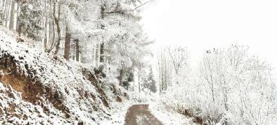 “小雪”来临，湖北这些地方下雪了！