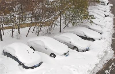 内蒙古通辽降雪46小时致灾，当地发布接收捐赠公告