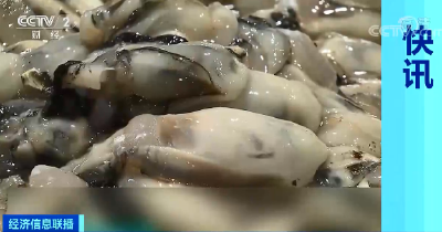 这种海鲜价格暴涨近一倍！是你爱吃的吗？