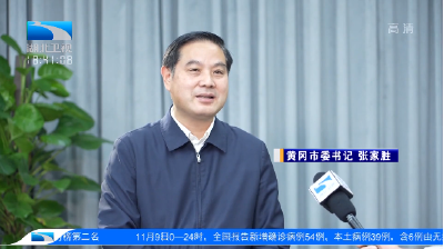 海报 | “六大优势”如何发挥？黄冈市委书记张家胜这样说