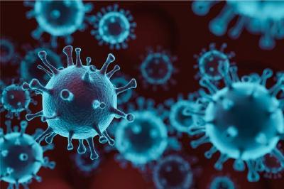 关注！南非发现新型新冠病毒变种 存在大量突变