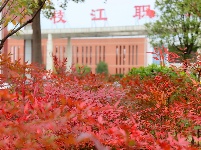 枝江：红妆似火铺满街