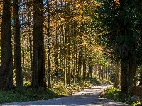 建始：万山红遍