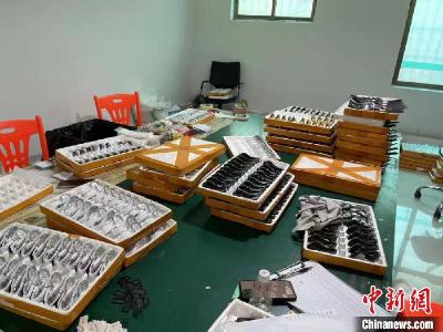 假货阿玛尼手表也卖专柜价 “黑网店”售假表累计案值1800余万元
