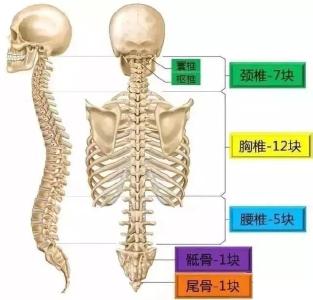 六个孩子中就有一个脊柱侧弯？青春期孩子尤其要注意！