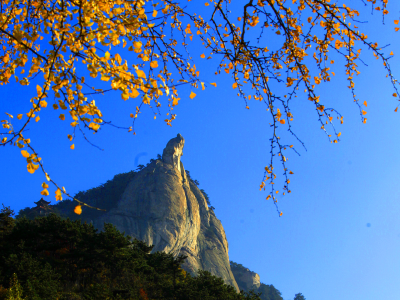 11月，看湖北，万山红遍！