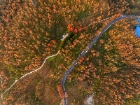 建始：万山红遍