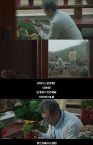 爱上花花草草，是迈入老年的“宿命”吗？2