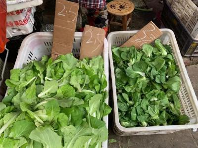 武汉本地菜大量上市 蔬菜价格腰斩