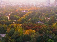 荆州：古城斑斓展画卷