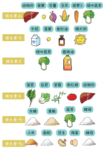 人体必需的十一种维生素来源