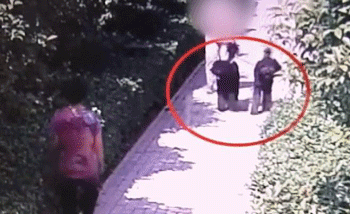 “狗咬老人”涉事王某被停职，昨晚已道歉