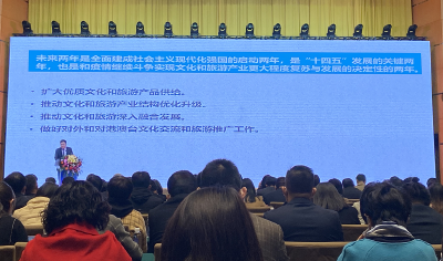 中国旅游研究院院长戴斌：科技已经成为文旅刚需