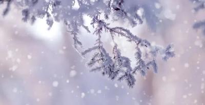 -5℃+雨雪+8级大风！湖北省应急管理厅发布预警提示