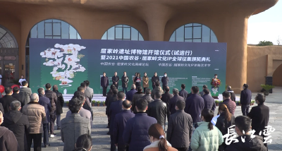2021中国农谷·屈家岭文化IP全球征集颁奖典礼举行