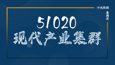 十大热词看湖北 | “51020”现代产业集群