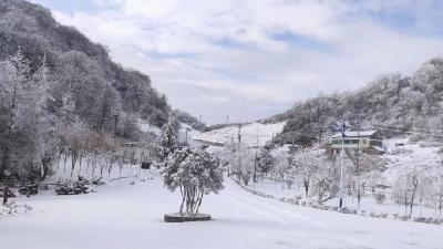 最高15℃！湖北接下来的天气……