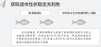 重大突破！以后吃鱼可以不挑刺了？网友有个大胆的想法...
