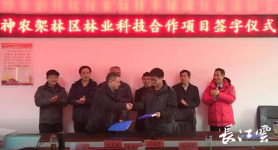 9个项目签订！神农架珍稀树木资源走进实验室