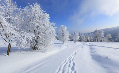 南方积雪超越东北？大数据揭秘我国十大积雪最厚城市排行榜