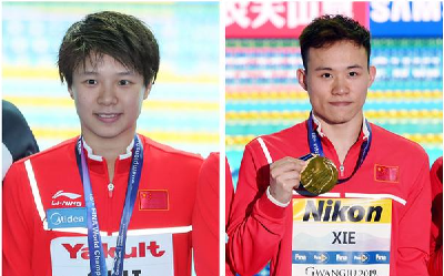 祝贺！施廷懋、谢思埸获国际泳联年度最佳运动员
