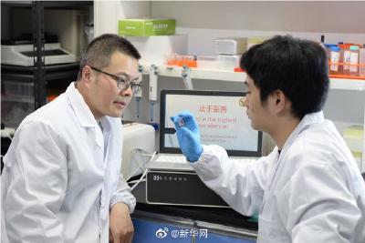 新突破！中国团队将校训存入DNA序列