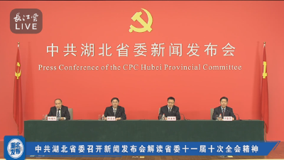 这一年，湖北省委常委会干了这些大事！