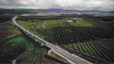 在汉央企参建的中老铁路全线开通运营