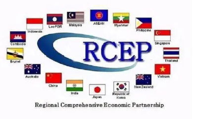 专访韩国京畿大学教授刘子阳：RCEP将显著提升东亚区域经济一体化水平