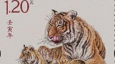 虎年生肖邮票来了，5日正式发行，提前看看长啥样