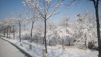 湖北今日晴朗在线 明后天大风雨雪降温将陆续登场