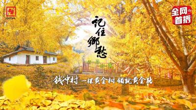 《记住乡愁》新春献映——《钱冲村：一棵黄金树铺就黄金路》