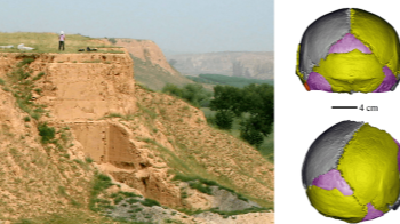 研究发现许家窑人是中更新世脑容量最大的“大头人”