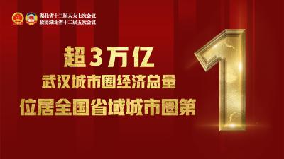 位居全国前列！武汉城市圈经济总量超3万亿